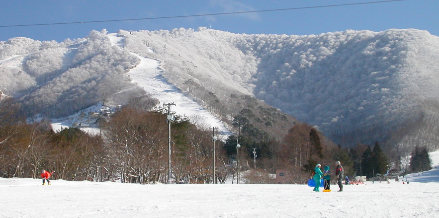 雪を遊ぶスキー＆スノボ「みやぎ蔵王七ヶ宿スキー場」